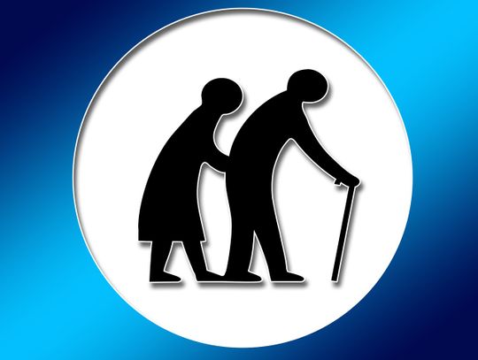 Rada seniorów jeszcze nieprędko