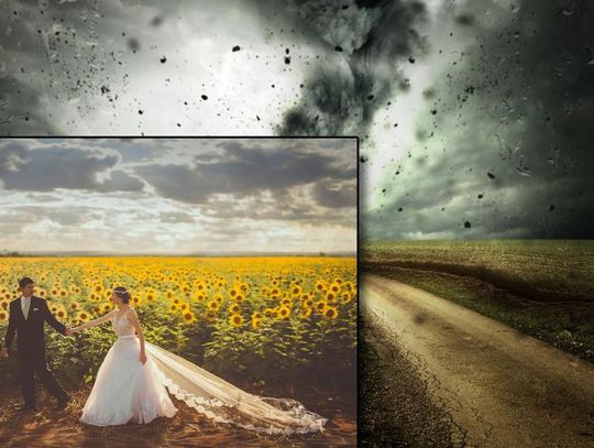 Region. Bykowe po nowemu? Wsparcie tylko dla rolników, którzy są małżonkami