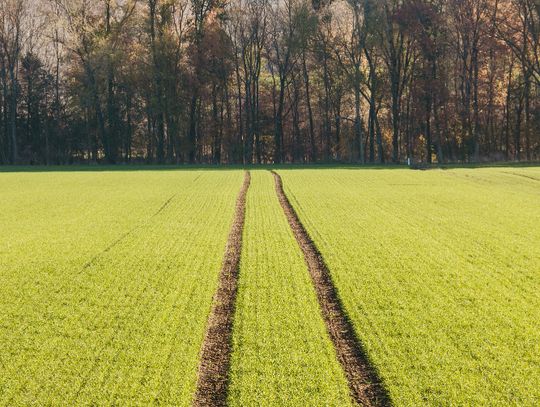 Region. Synergia na polu. Rolnik i myśliwy w walce o plony