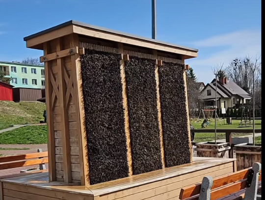 Region. Tężnie – zdrowie czy ryzyko? Samorządy nie są jednomyślne