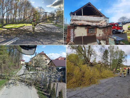 Region. Wichury znów powalały drzewa. Jedno spadło na auto. Ranny kierowca zabrany do szpitala [ZDJĘCIA]