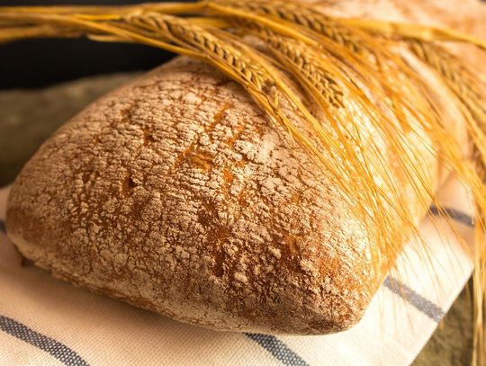 Region. Dożynki 2022. Wiemy, kiedy i gdzie się odbędą