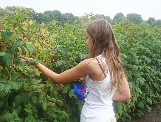 Region: Cudzoziemcy chcą u nas pracować