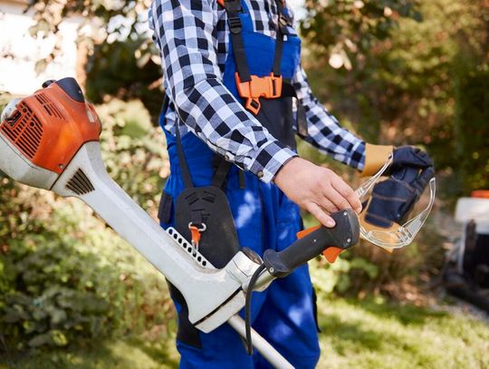 Rejowiec Fabryczny. Pęknięty asfalt i zaniedbana zieleń – radna Wiśniewska apeluje, burmistrz odpowiada