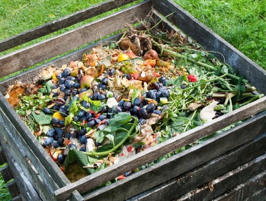 Rejowiec Fabryczny. Kompostowniki trafią pod lupę kontrolerów