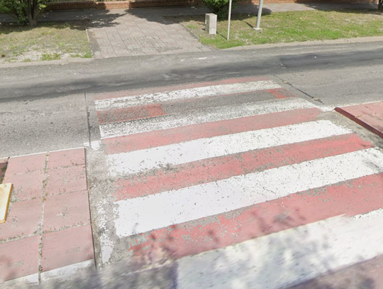 Bezpieczeństwo w rejonie szkoły, stan miejskiej infrastruktury, konserwacja oświetlenia, gospodarka odpadami, opieka nad bezdomnymi zwierzętami, wyniki audytu w szkole oraz sposób publikowania dokumentów w Biuletynie Informacji Publicznej.