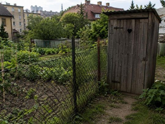 Chełm. Rodzina bez kanalizacji, sąsiadka z wychodkiem „pod nosem”. Miasto: Czekamy na sąd... Zdjęcie ilustracyjne