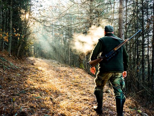 Sejm zwolnił myśliwych z obowiązkowych badań. Bezpieczeństwo Polaków mniej ważne