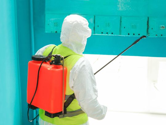 Serwis ddd – co to takiego i jak działa?