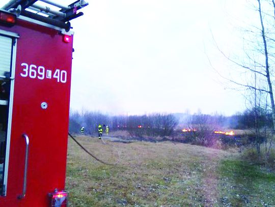 Sezon na bezmyślność rozpoczęty