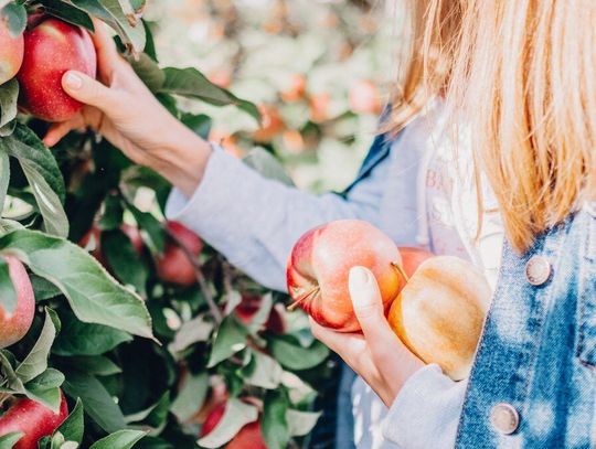 Sklepy grają na ostro z rolnikami. Chodzi o samozbiory
