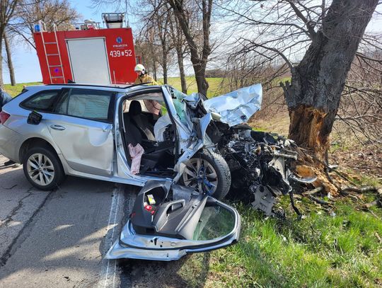 Skoda uderzyła w drzewo. Jedna osoba trafiła do szpitala [ZDJĘCIA]