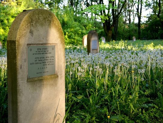 Ślady przeszłości z 4 Piętra