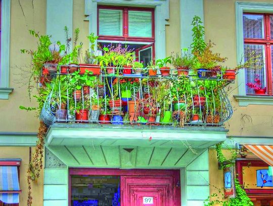 Smaczne i piękne balkonowe ogródki