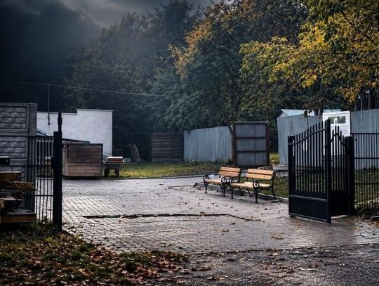 Śmierć Goi w chełmskim schronisku. Miasto zawiadomiło policję, weterynaria przeprowadziła kontrolę
