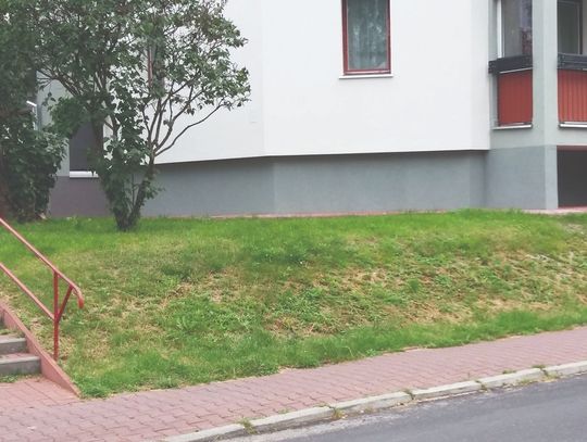 Śmierdząca sprawa to gnijąca trawa