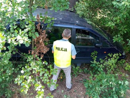 77-latek uderzył w drzewo i zginął na miejscu. Pasażerka w szpitalu