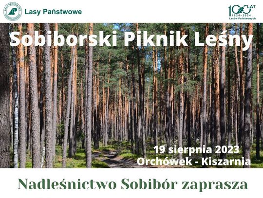 Gm. Włodawa. Sobiborski Piknik Leśny już niebawem