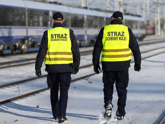Straż Ochrony Kolei poszukuje sokistów. Można zarobić 8 tysięcy złotych