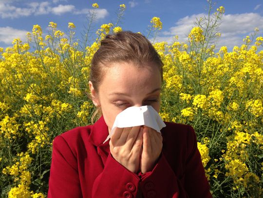 Sprawdź na co jesteś uczulony - testy na alergię i pasożyty