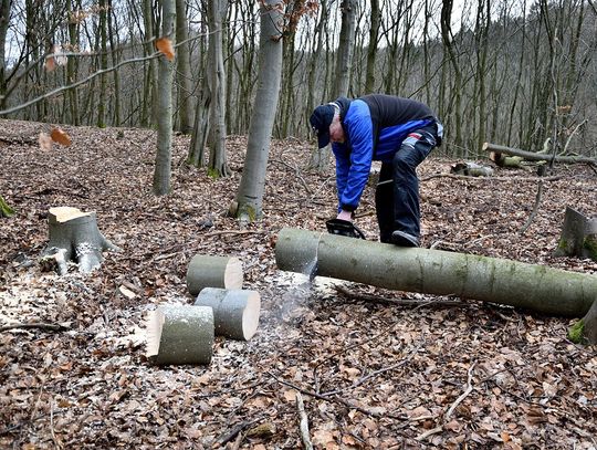 Sprawdzamy najnowsze oferty pracy w Chełmie i powiecie (23-10-22)
