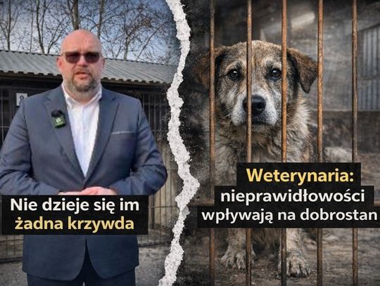 Stanowisko Powiatowego Lekarza Weterynarii stoi w sprzeczności z wcześniejszymi zapewnieniami władz miasta, które przekonywały, że uchybienia nie wpływały na sytuację zwierząt.