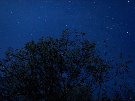 Starlinki nad regionem. Dziś wieczorem widowiskowy przelot satelitów