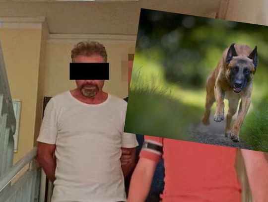 Lubelskie. Straszna śmierć. Skazany za to, że owczarki belgijskie zagryzły rowerzystę