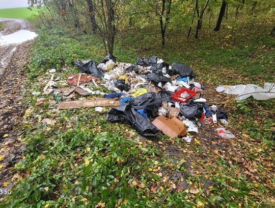 Krasnystaw. Ważny pojedynek! Straż leśna kontra śmieciarz. Wynik 1:0