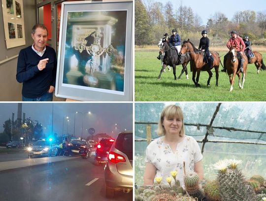 SuperFlesz (02-11-22): Wypadki, kocie oszustwo, kaktusy, drożyzna na cmentarzu