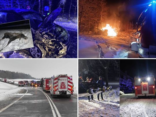 SuperFlesz (13-12-22): Ciężarówka w ogniu, zderzenie z łosiem, zabili dla zabawy