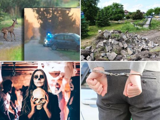 SuperFlesz (29-10-22): Dachowanie, groził 14-latce, park miejski bez wykonawcy