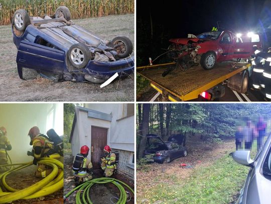 SuperFlesz: przegląd prasy 13.09.2023 Chełm, Krasnystaw, Włodawa