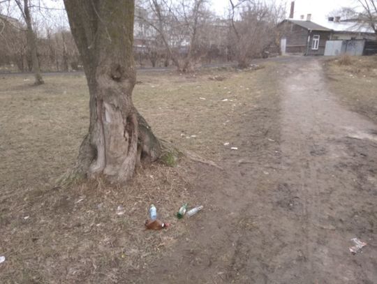 "Takie kwiatki" w pobliżu biblioteki | Super Tydzień