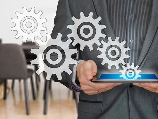 Tarczo - bus w Chełmie