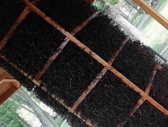 Tężnie w parku wodnym | Super Tydzień