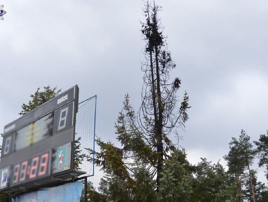 Zamiast topić marzannę, podpaliły drzewo. Dzieci świętowały pierwszy dzień wiosny.