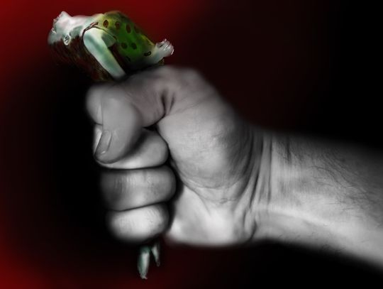 Torturowali paralizatorem, tłukli krzesłem