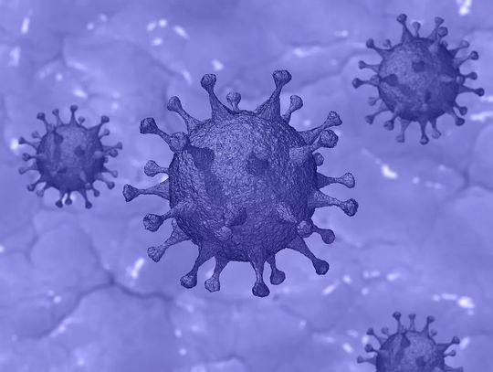 Trzy nowe przypadki zarażenia koronawirusem w powiecie chełmskim