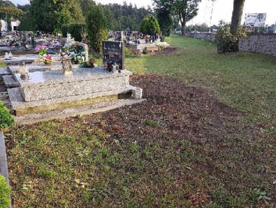 Tuje ofiarą remontu?