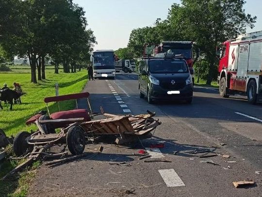 Uderzył oplem w furmankę i uciekł! Konie, woźnica i jego pasażerka potrzebowali pomocy [ZDJĘCIA]