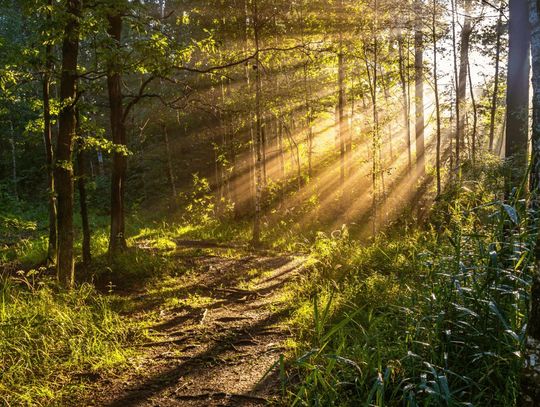 UFO, podziemny krąg i piramida. Niezwykle miejsca na Lubelszczyźnie