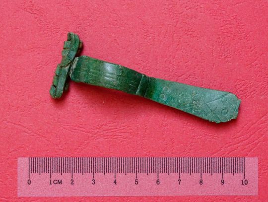 Na terenie gminy Dorohusk, podczas prowadzonych poszukiwań zabytków, natrafiono na niezwykle cenne znalezisko. To niewielka, wykonana z brązu zapinka do odzieży, znana jako fibula, która została właśnie przekazana do chełmskiej delegatury Wojewódzkiego Urzędu Ochrony Zabytków.