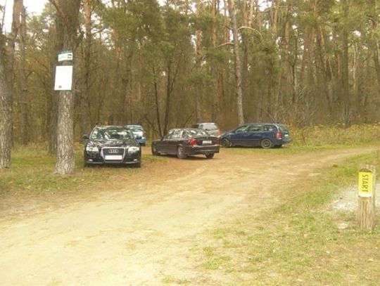Urządzili sobie leśny parking