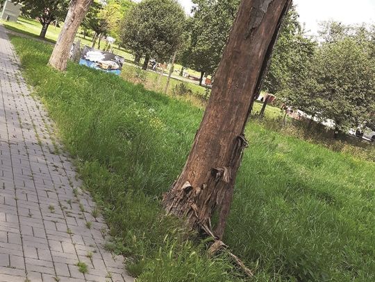 Urzędnicze młyny mielą powoli