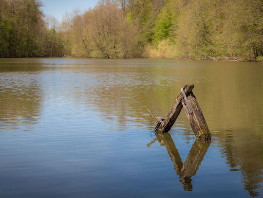 Utonęli, migrując przez Bug. Ciała dryfowały tygodniami