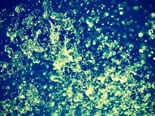 Utopił się w kanale