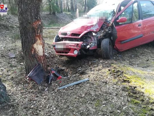 Uwaga, dzikie zwierzęta na drogach!