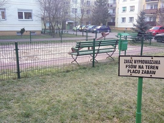 Uwaga na cuchnące miny!