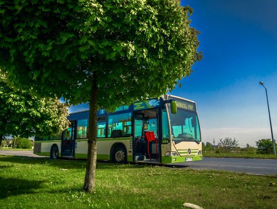 W Chełmie autobusem za free